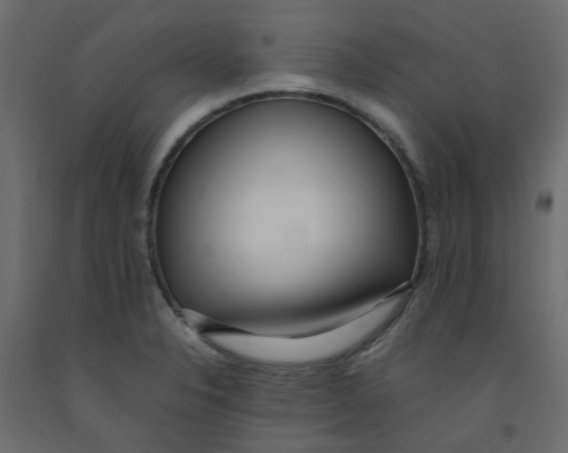 X0000092091326200710101053