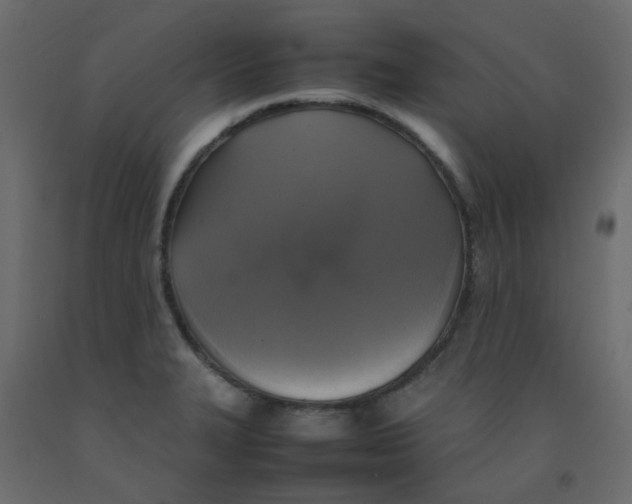 X0000092091327200710101053