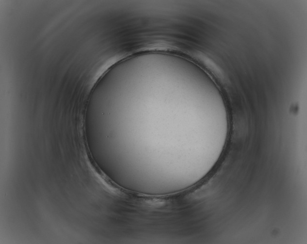 X0000092091329200710101053