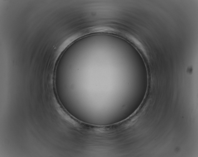 X0000092091330200710101053