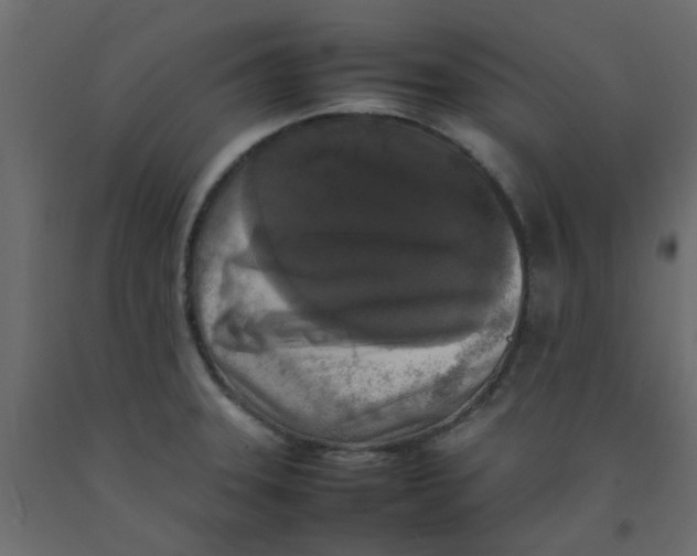 X0000092091331200710101053