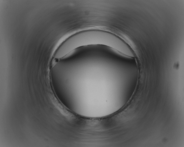 X0000092091332200710101053