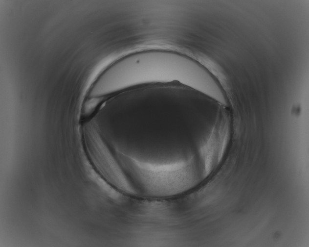 X0000092091334200710101053