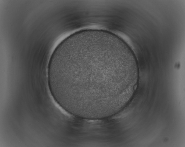 X0000092091335200710101053