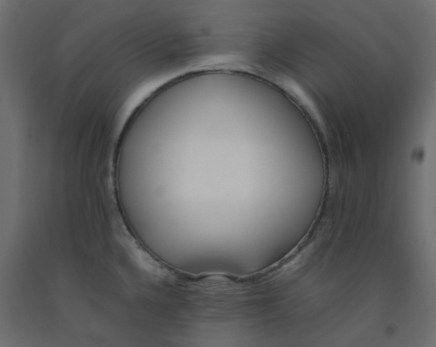 X0000092091336200710101053