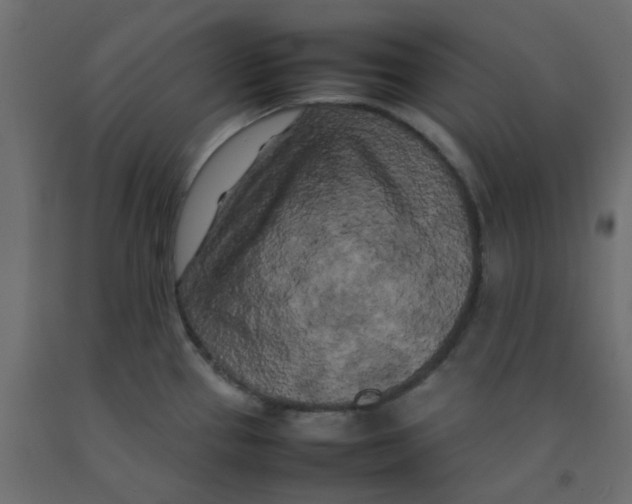 X0000092091337200710101053