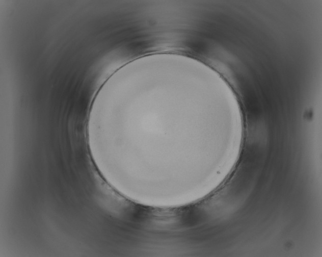 X0000092091338200710101053