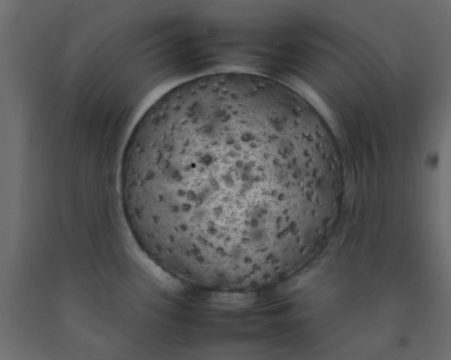 X0000092091339200710101053