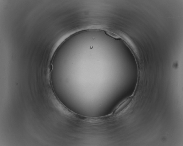 X0000092091340200710101053