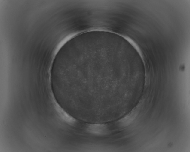 X0000092091341200710101053