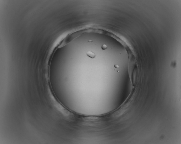 X0000092091342200710101053