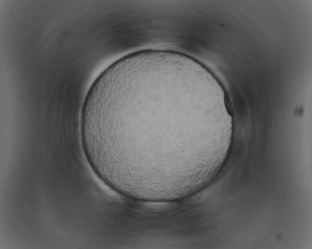 X0000092091343200710101053