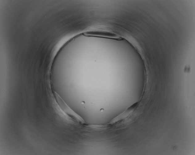 X0000092091344200710101053