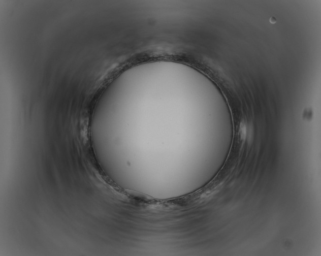 X0000092091348200710101052