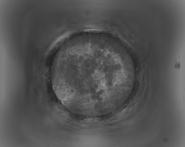 X0000092091351200710101052