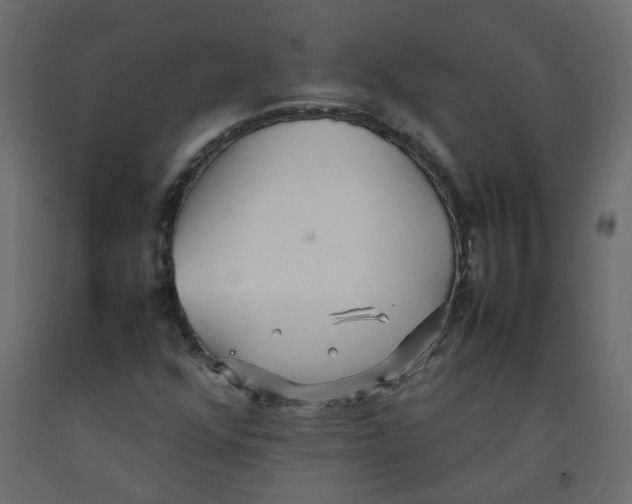 X0000092091352200710101052