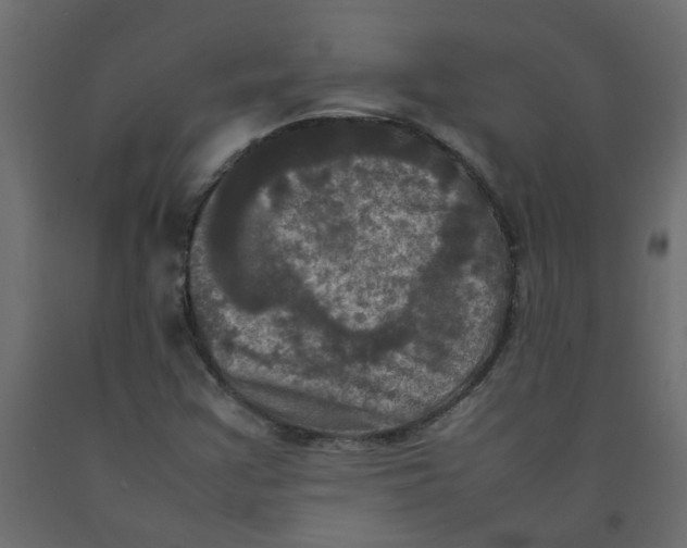 X0000092091355200710101052