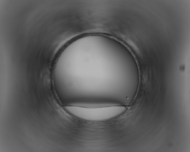 X0000092091356200710101052