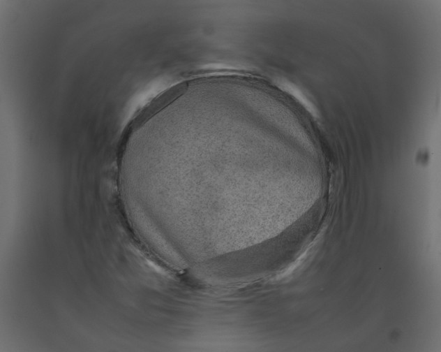 X0000092091357200710101052