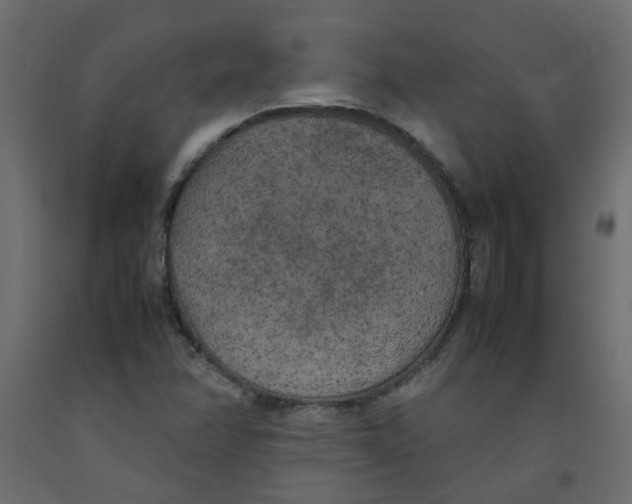 X0000092091358200710101052