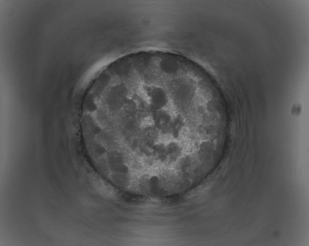 X0000092091359200710101052