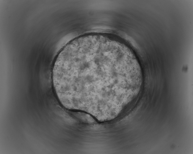 X0000092091362200710101052