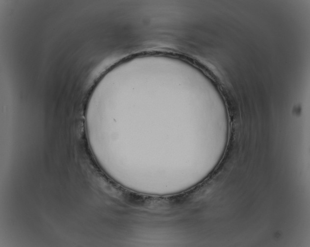 X0000092091363200710101052