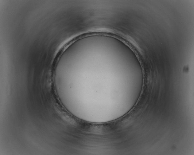 X0000092091364200710101052