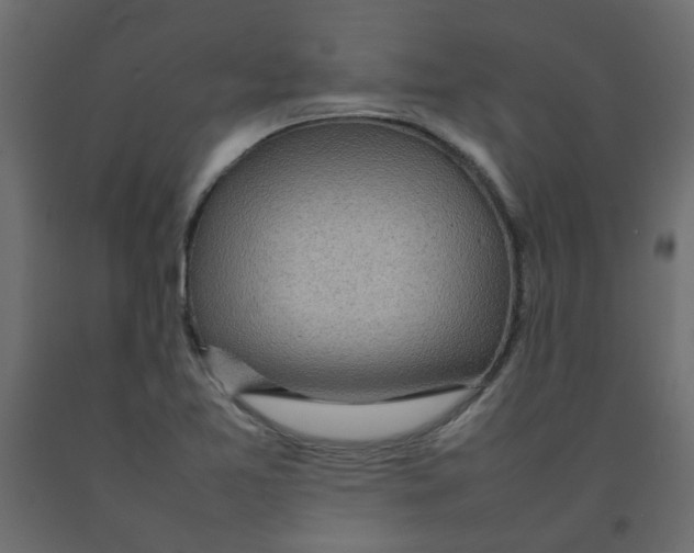 X0000092091365200710101052