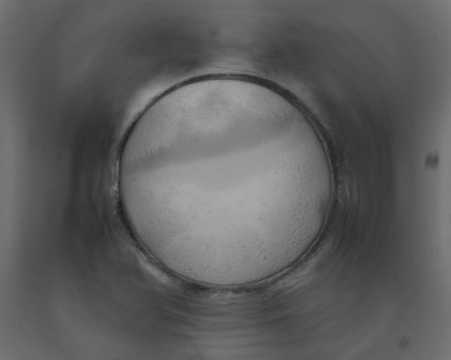 X0000092091366200710101052