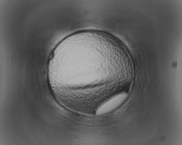 X0000092091367200710101052