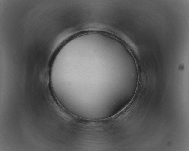 X0000092091368200710101052