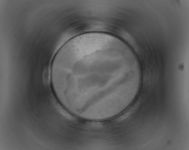 X0000092091370200710101052