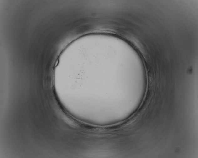 X0000092091371200710101052