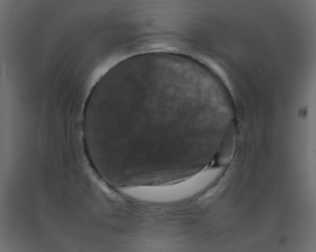 X0000092091373200710101052