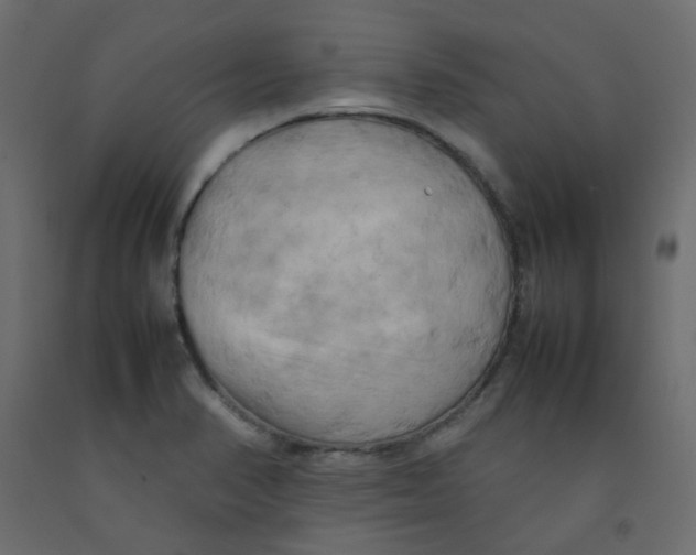 X0000092091374200710101052