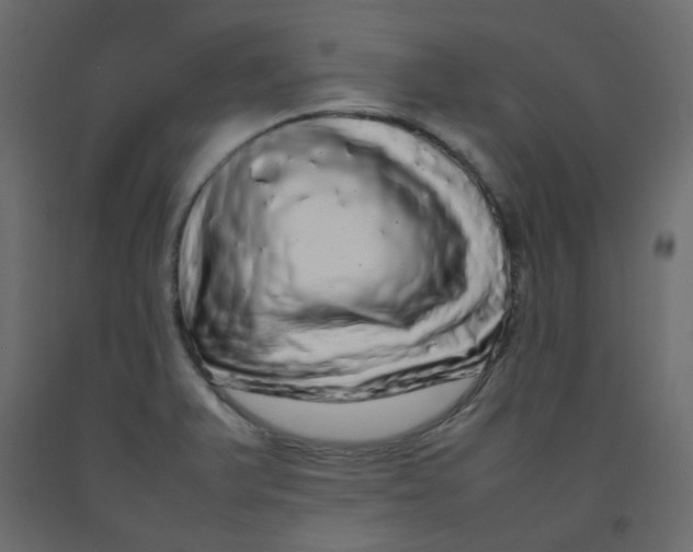 X0000092091375200710101052