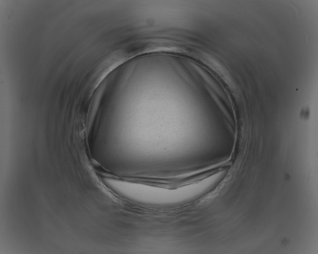 X0000092091377200710101052