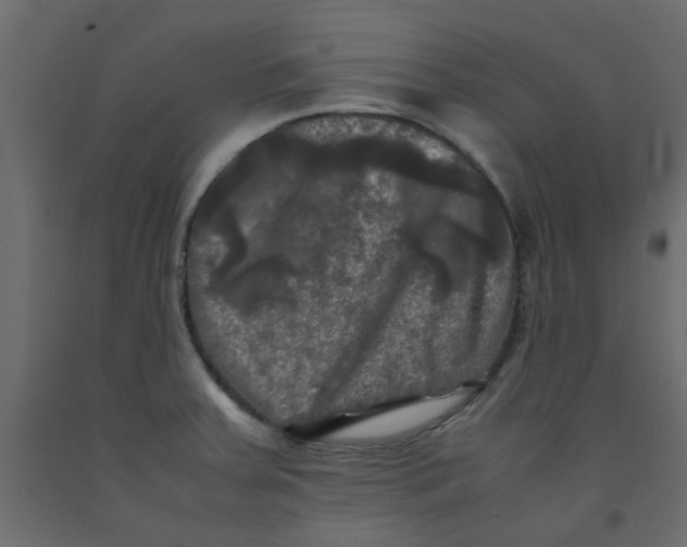 X0000092091379200710101052