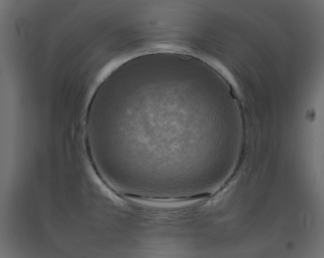 X0000092091381200710101052