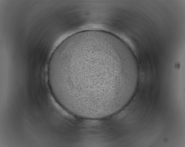 X0000092091382200710101052