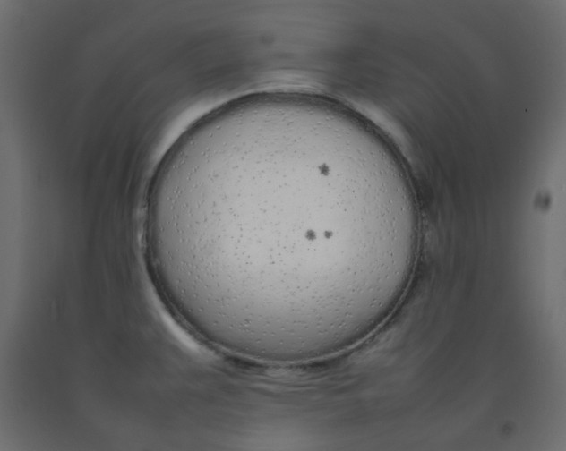 X0000092091383200710101052