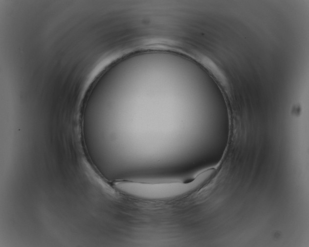 X0000092091384200710101052