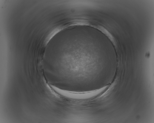 X0000092091385200710101052