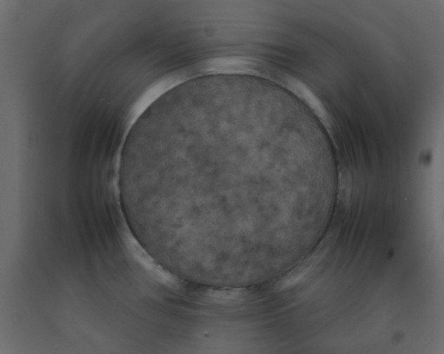 X0000092091386200710101052