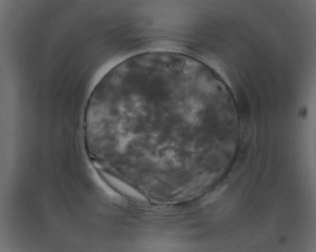 X0000092091387200710101052