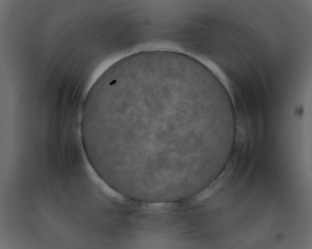 X0000092091390200710101052