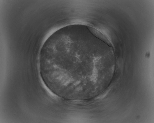 X0000092091391200710101052