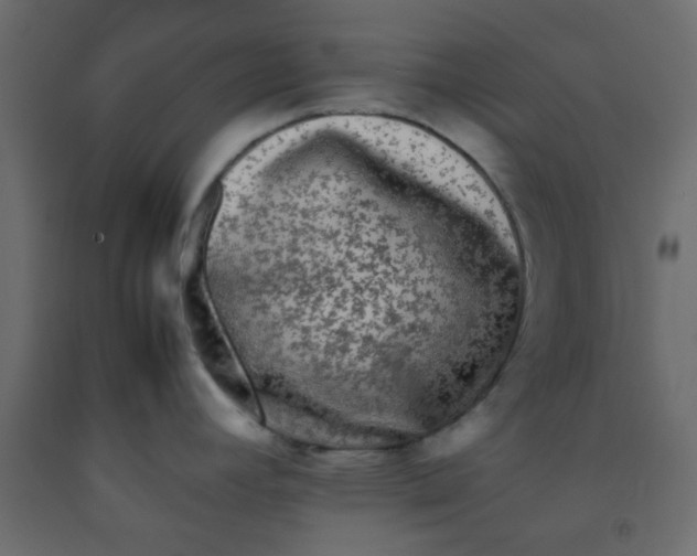 X0000092091392200710101052