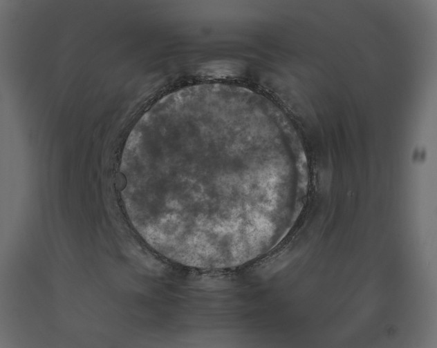 X0000092091393200710101051